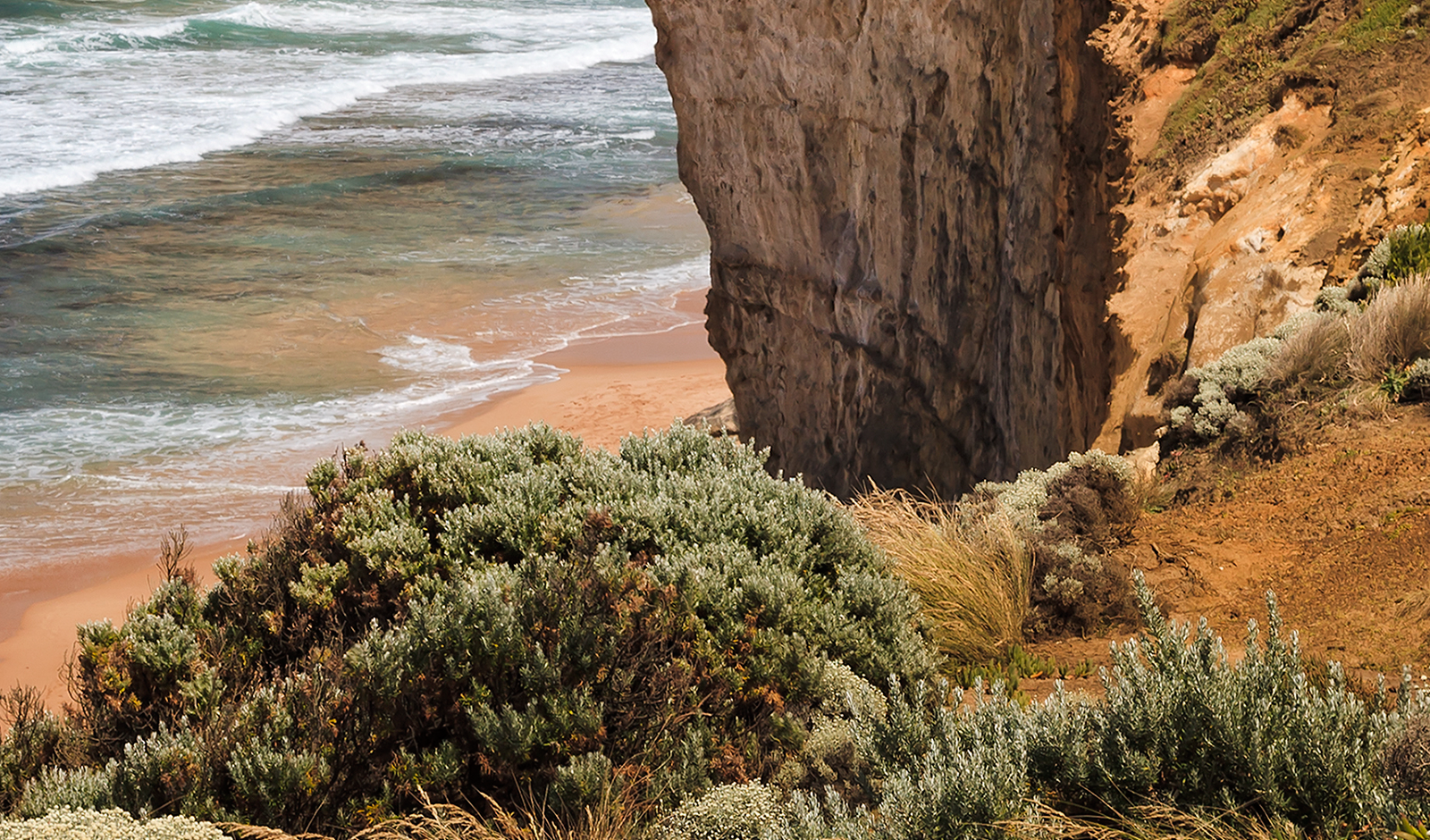 Ocean and beach