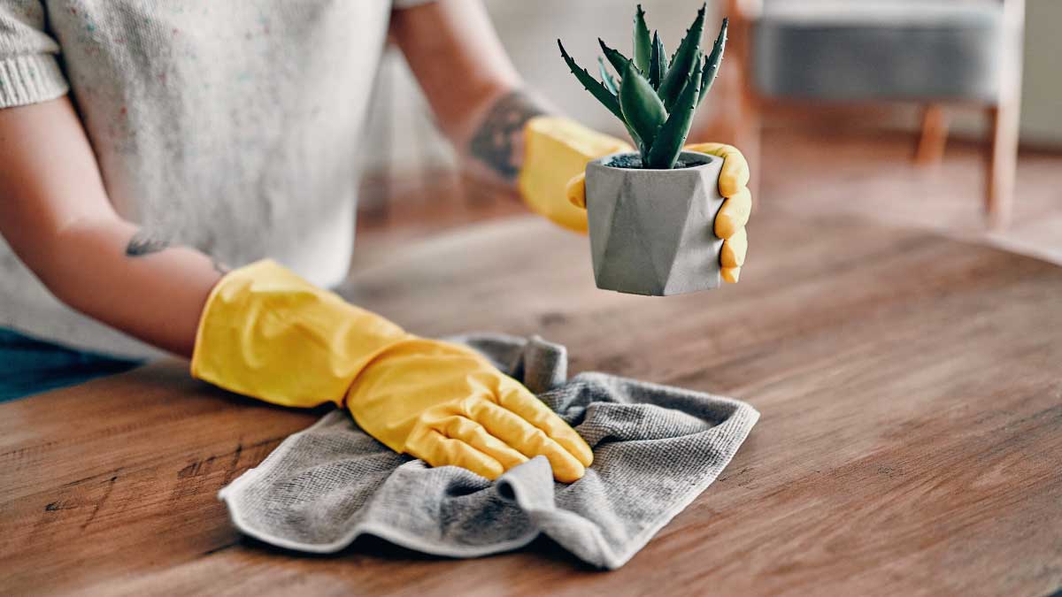 spring cleaning
