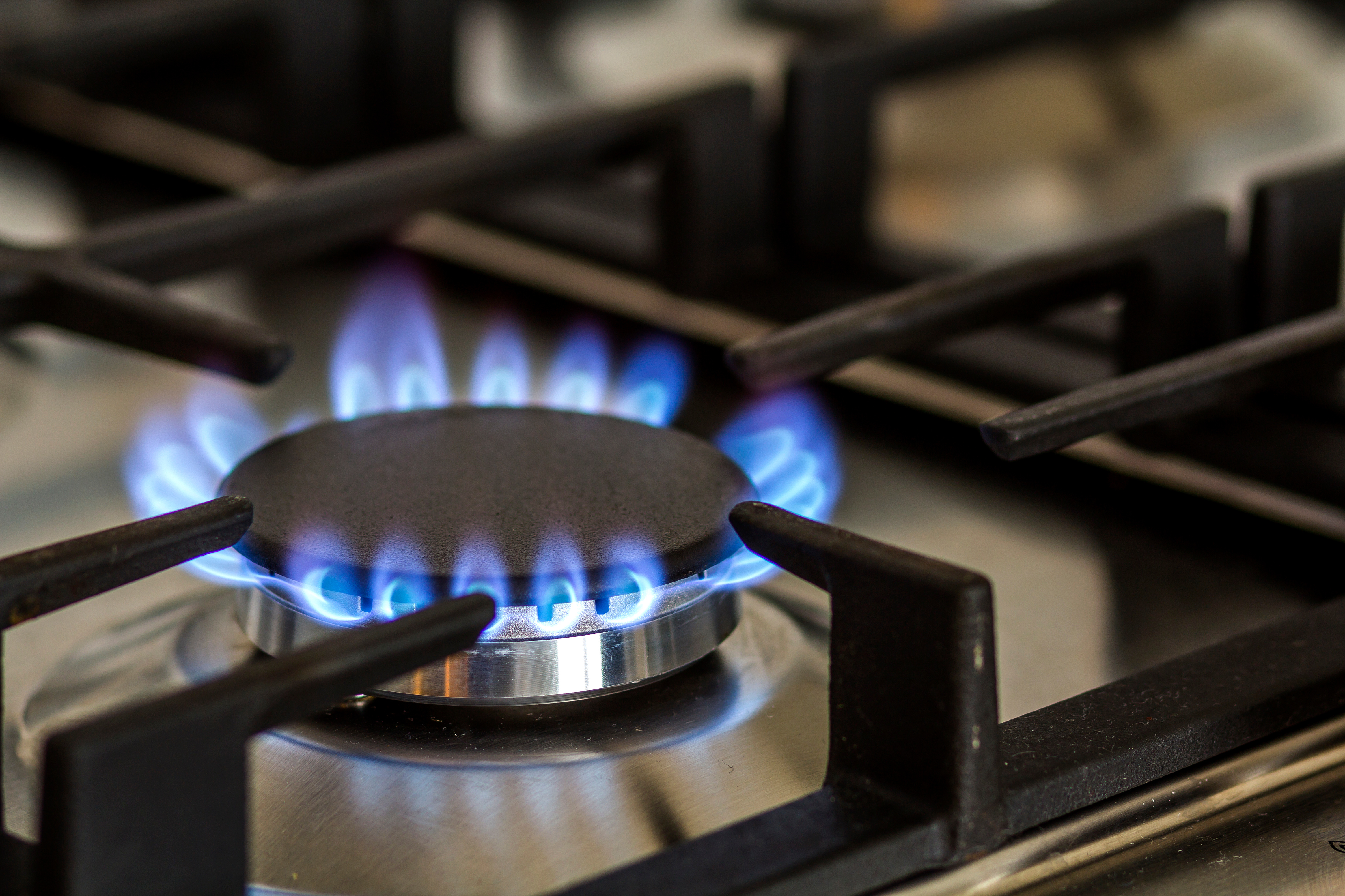 Gas stove and gas fire