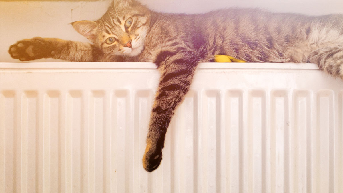 How gas appliances have changed over the years